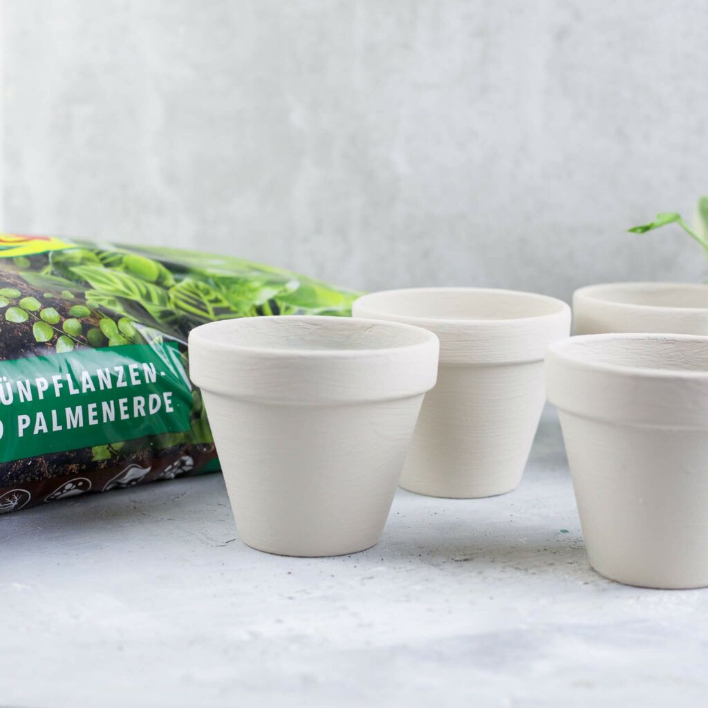 Blumentöpfe für Pflanzen anstreichen