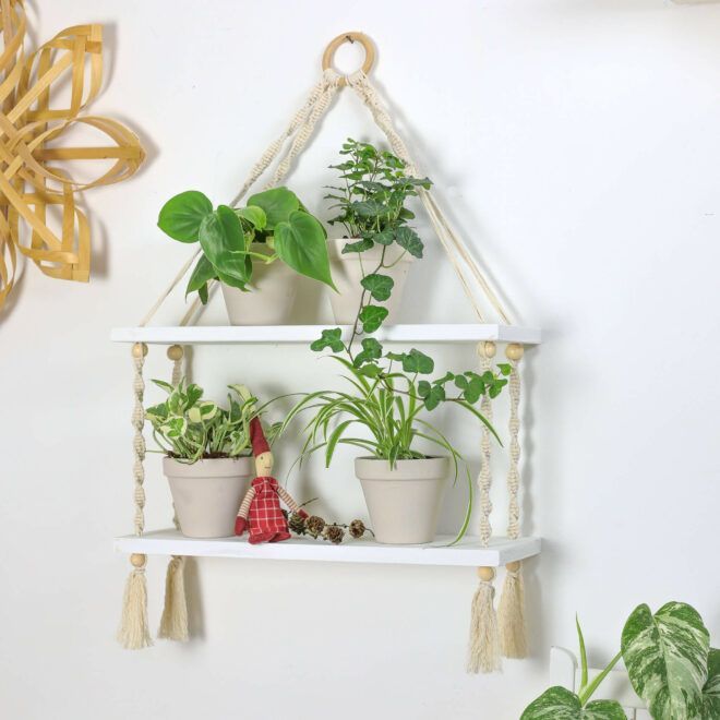 Pflanzen einfach aufhängen – 6 stilvolle DIY-Ideen - DIY-Family