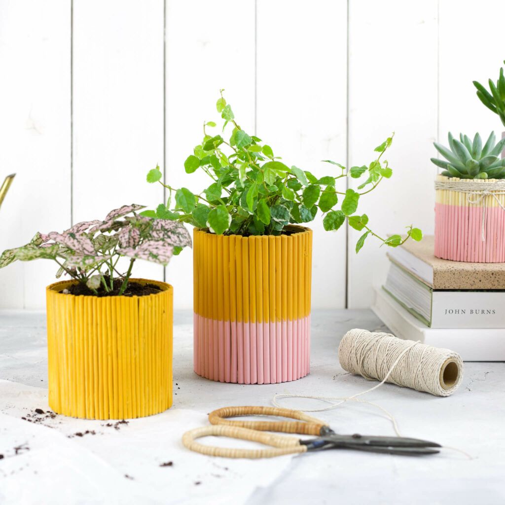 Dosen Upcycling mit Rundhölzern und Sprühlack