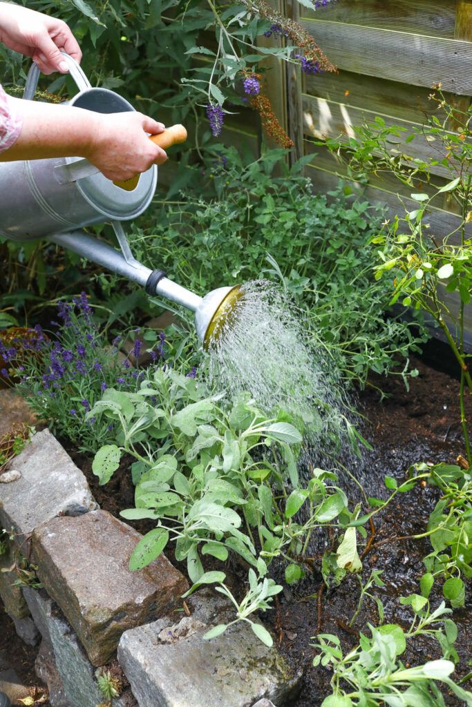 Torffrei gärtnern und ein Kräuterbeet anlegen.