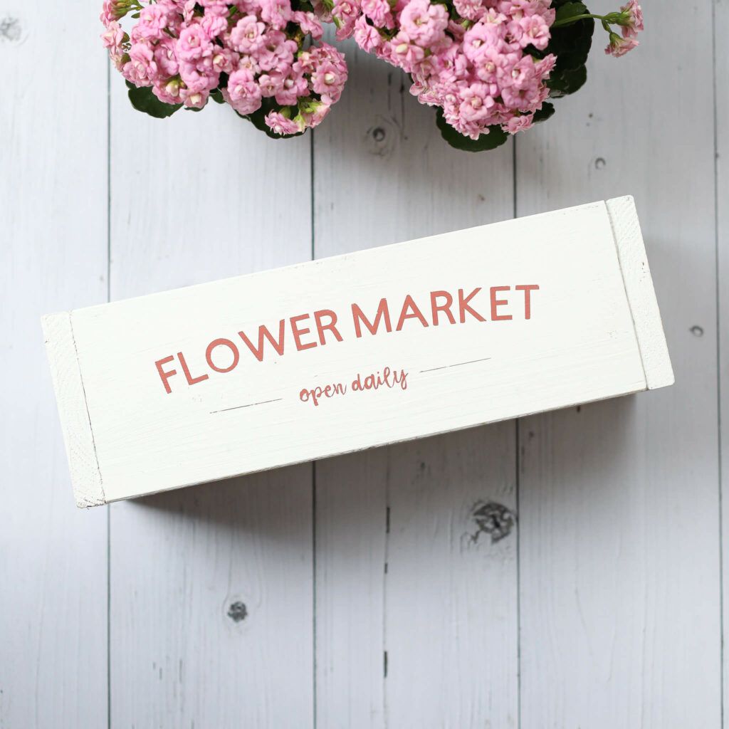 Pflanzenbox selber machen