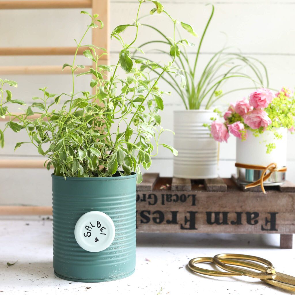 DIY Mini Pflanzenregal und ein Dosen Upcycling für Pflanztöpfe