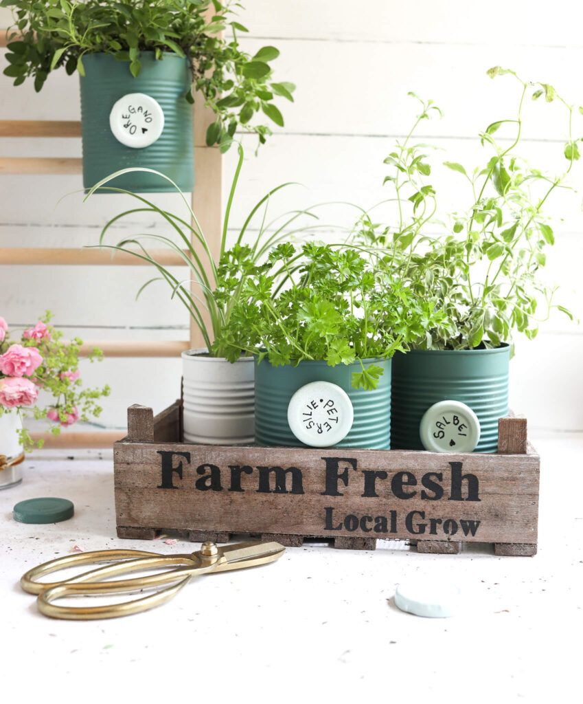 Mini Pflanzenregal und Dosen Upcycling für Pflanztöpfe