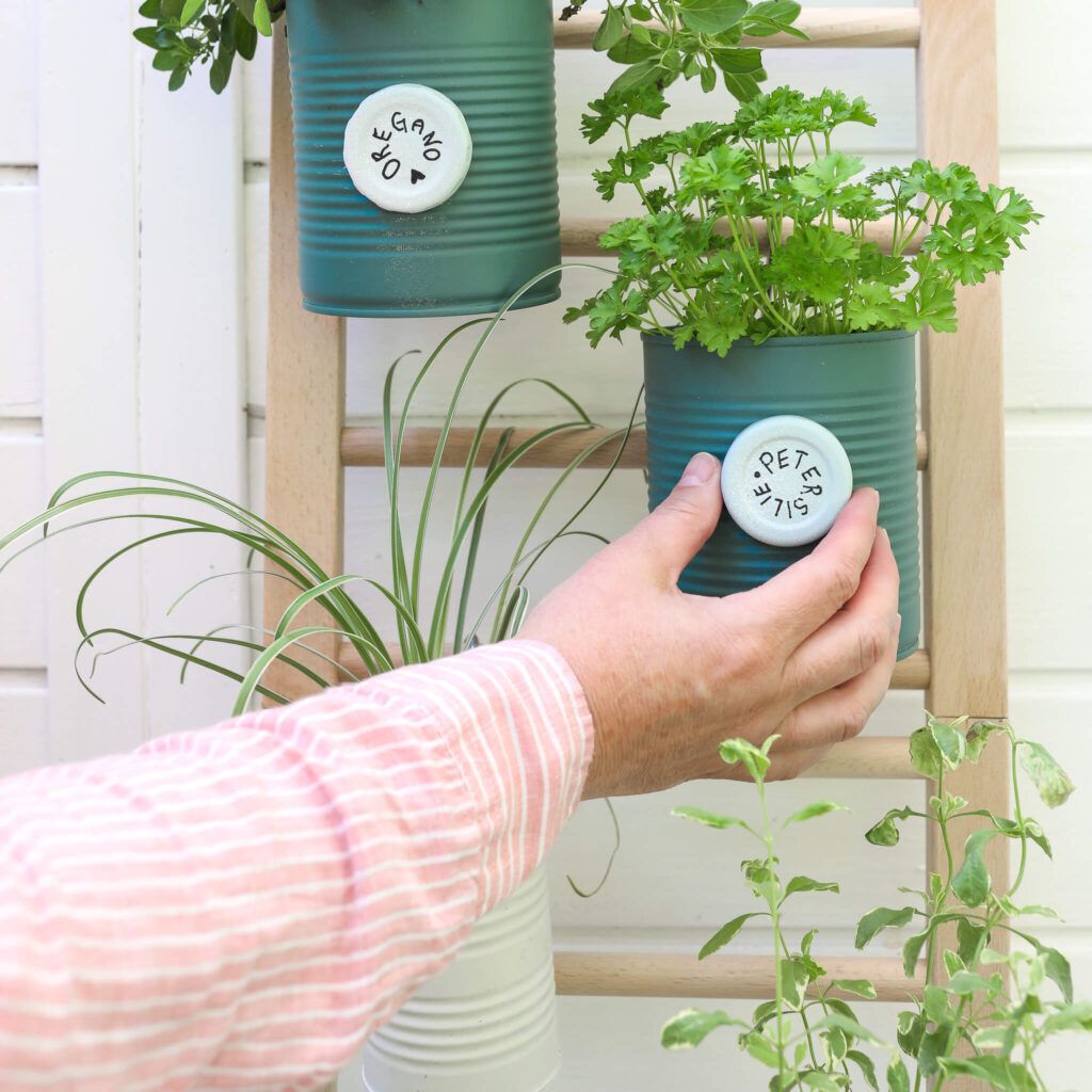 Mini Pflanzenregal und Dosen Upcycling für Pflanztöpfe