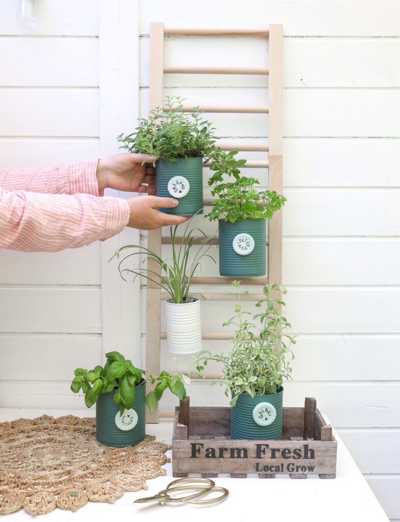 Mini Pflanzenregal und Dosen Upcycling für Pflanztöpfe