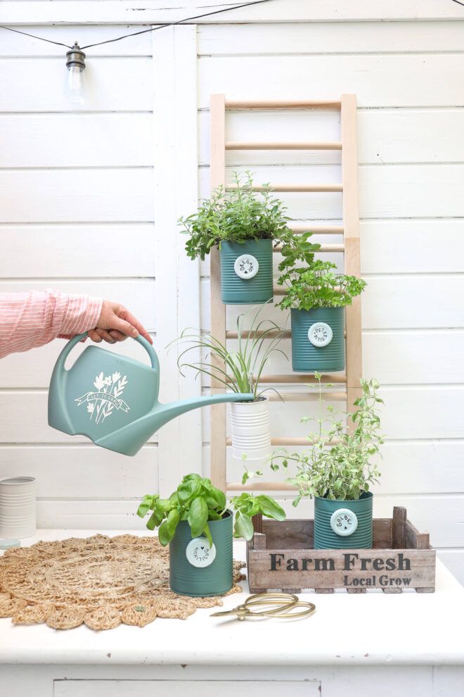 DIY Mini Pflanzenregal mit Dosen Upcycling