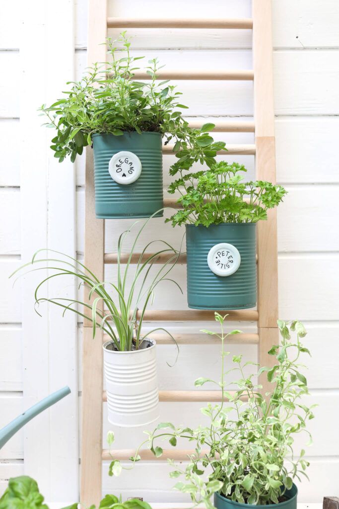 Mini Pflanzenregal und Dosen Upcycling für Pflanztöpfe