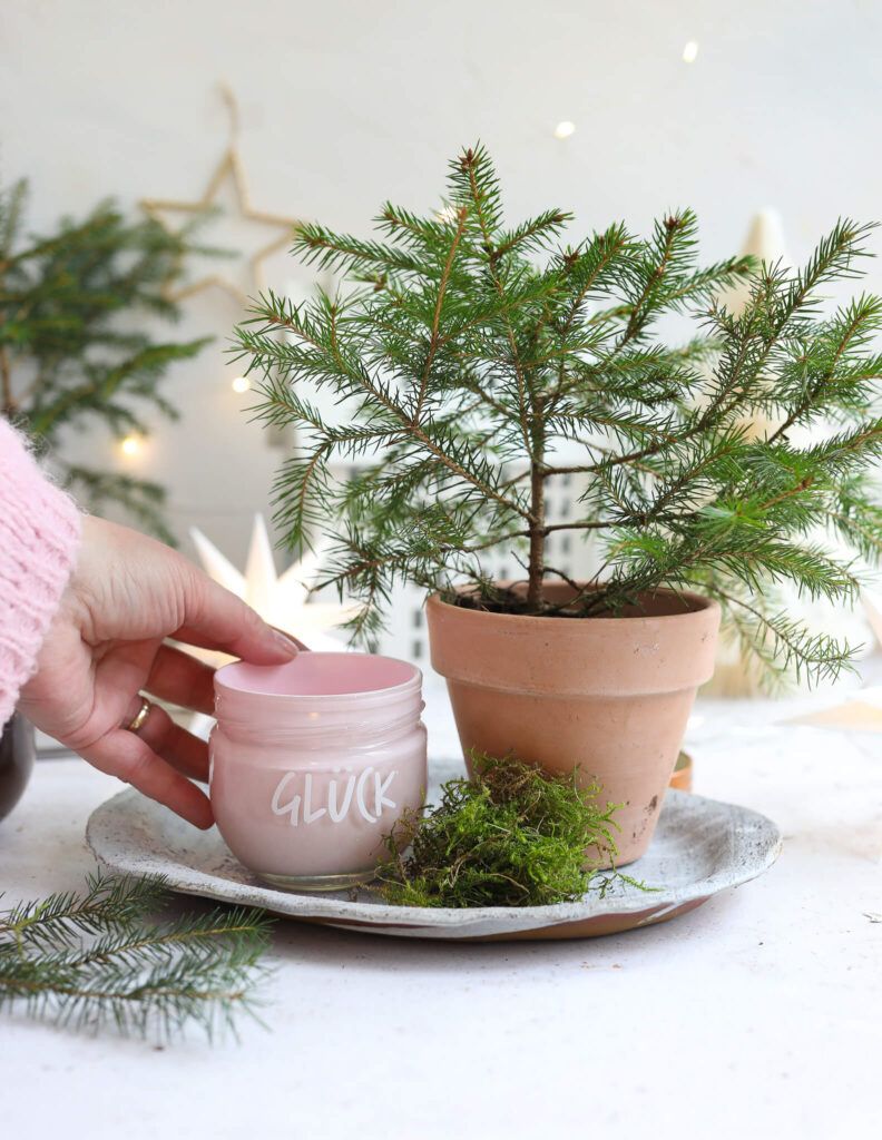 Wunschbaum im Glas mit Glück
