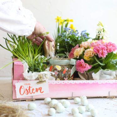 Blumengeschenk in der Obstkiste